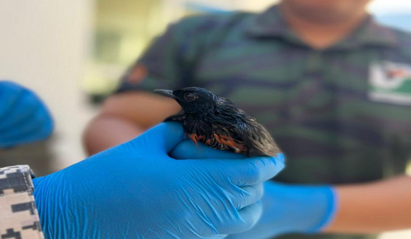 Foto Facebook Agensi Penguatkuasaan Maritim Malaysia
