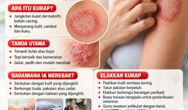 3110_MAKIN DIGARU MAKIN TERUK