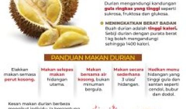 APA ADA DENGAN DURIAN 240x300
