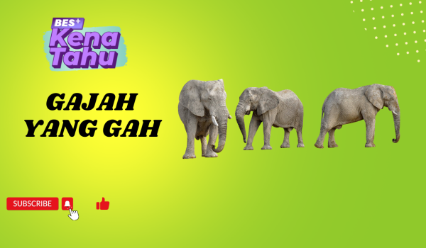 Gajah_Yang_Gah