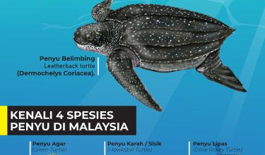 HARI PENYU 2026 01