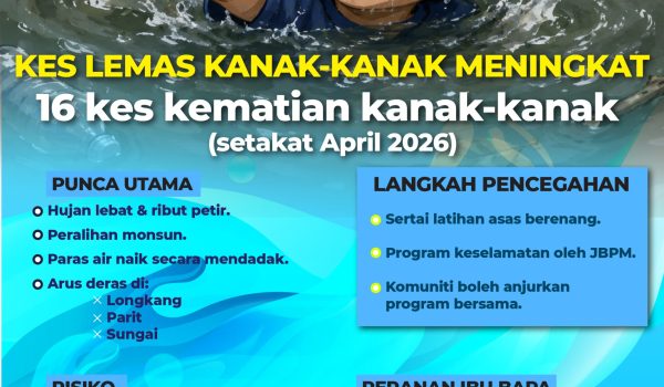 LEMAS