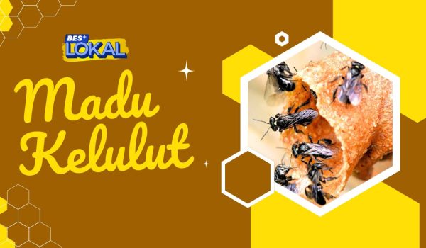 Madu_Kelulut