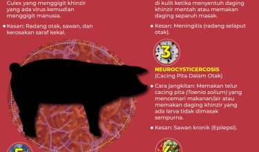 PENYAKIT MAUT DARIPADA KHINZIR