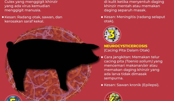 PENYAKIT MAUT DARIPADA KHINZIR