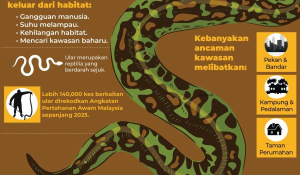 WASPADA ANCAMAN ULAR PADA MUSIM PANAS