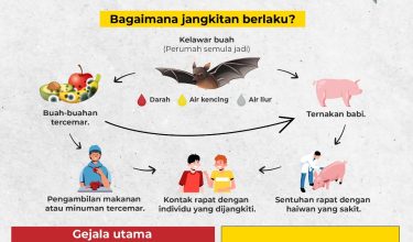 WhatsApp Image 2026 02 04 At 3.36.10 PM