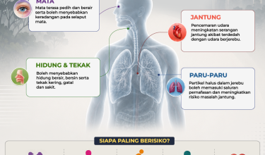 jerebu_repair
